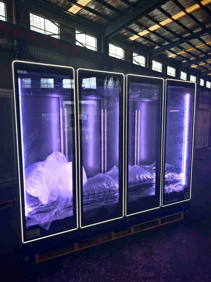 Brand New 2026 2, 3, & 4 Door Coolers and Freezers