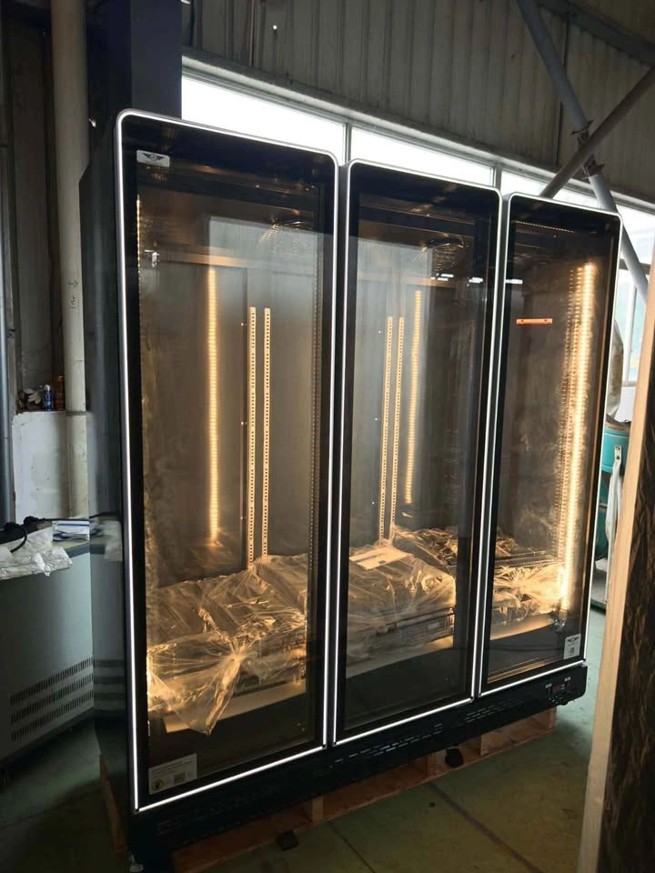 Brand New 2026 2, 3, & 4 Door Coolers and Freezers - photo 4