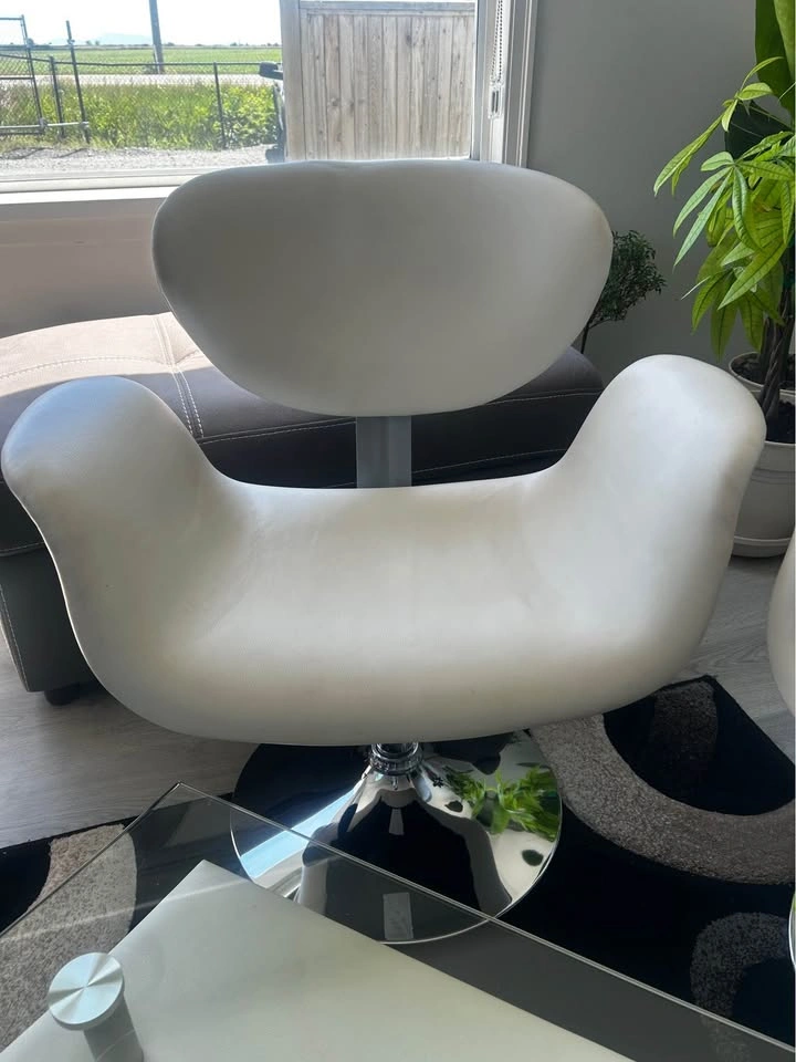 Modern White Accent Chairs & Glass Coffee Table Set - photo 4