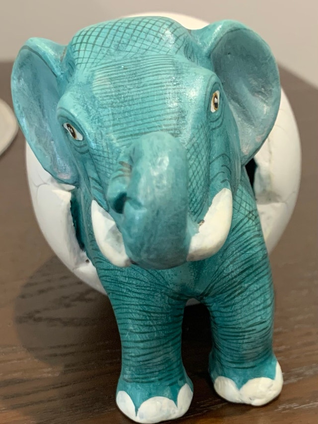 Elephant in an Egg