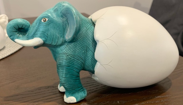 Elephant in an Egg - photo 2