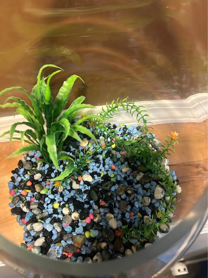 Fish tank - photo 3