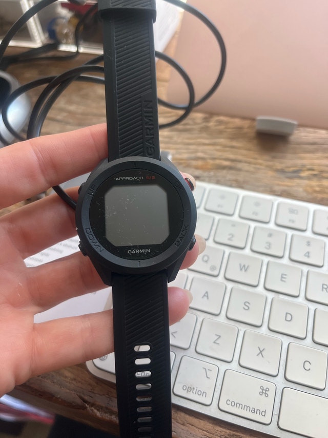Garmin Approach S12