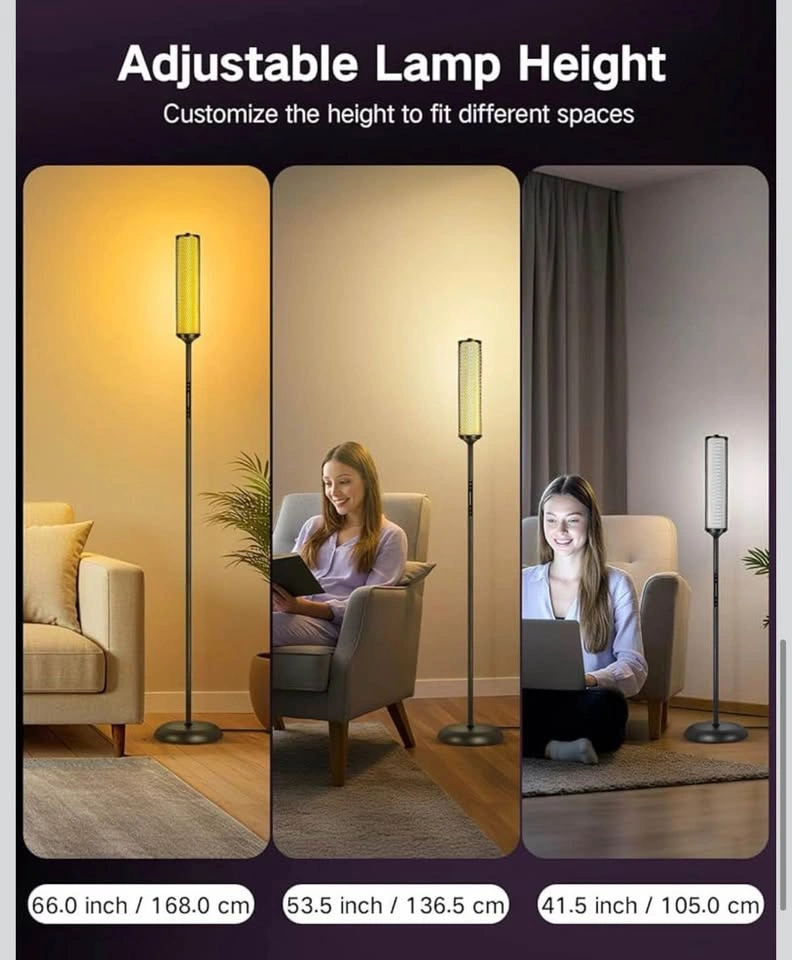 New RGBIC LED Standing Floor Lamp - photo 2