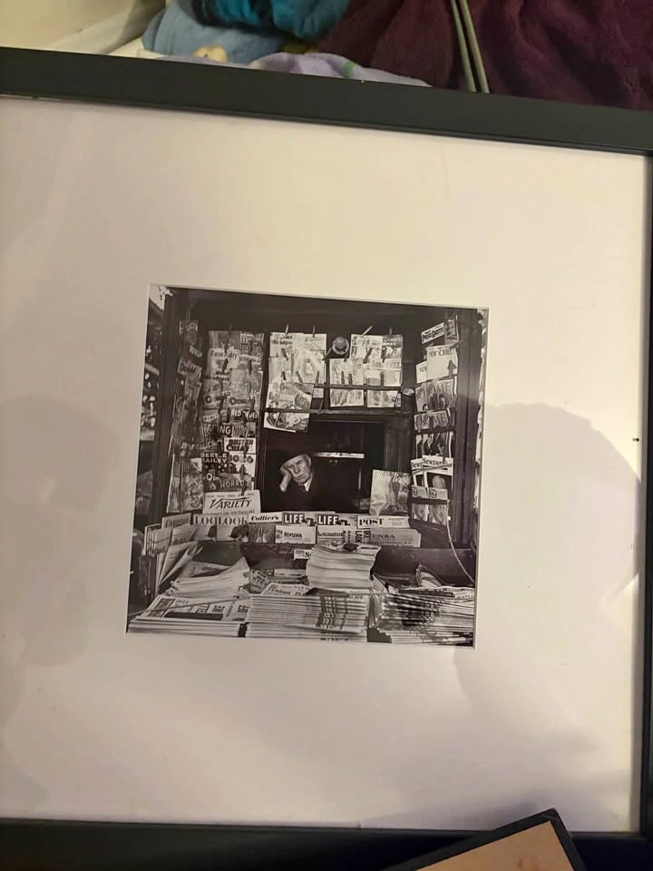 Framed photograph art