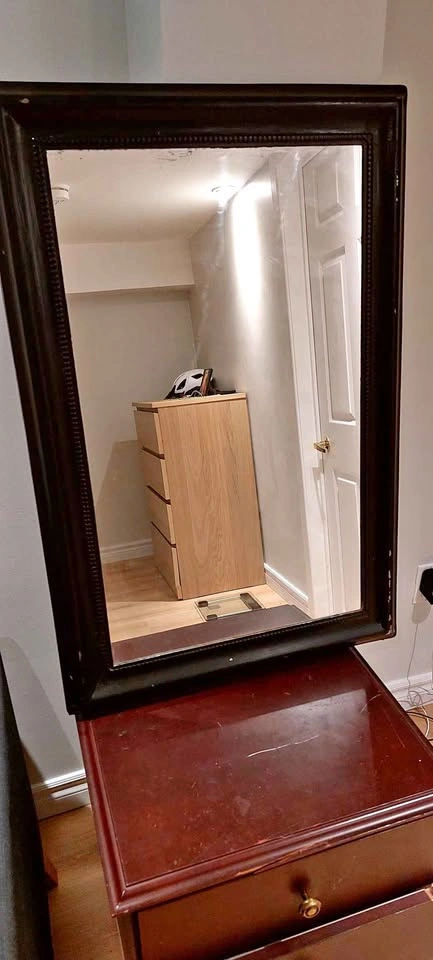 Large Dark Ornate Framed Mirror