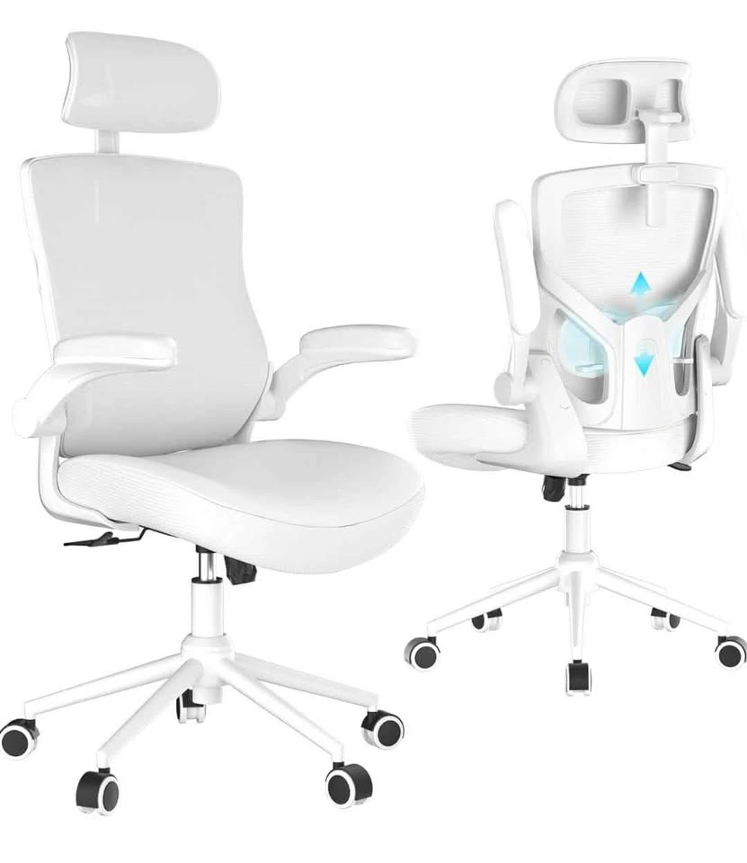 Ergonomic Office Chair with Adjustable Headrest & Lumbar - photo 4