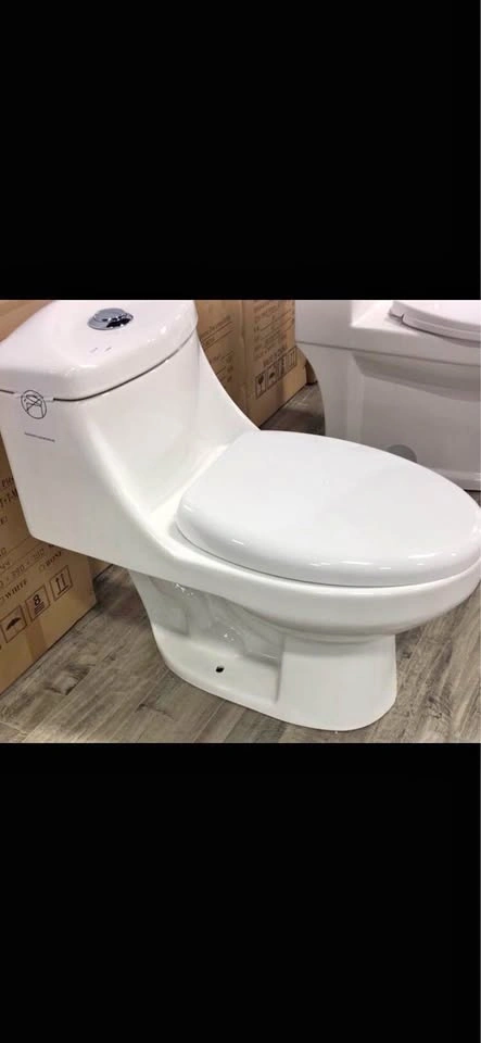 One Piece Toilet (Brand New in Box)