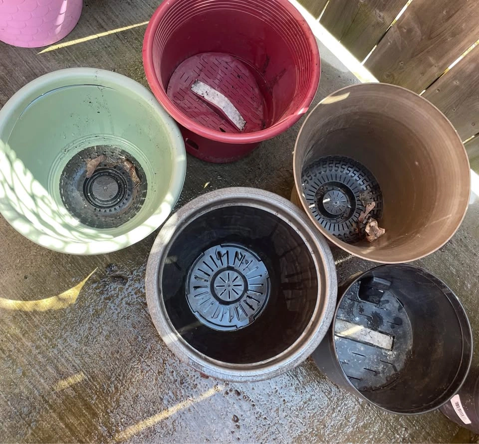 Lot of 5 plastic planters 8-10” with drainage systems - photo 2