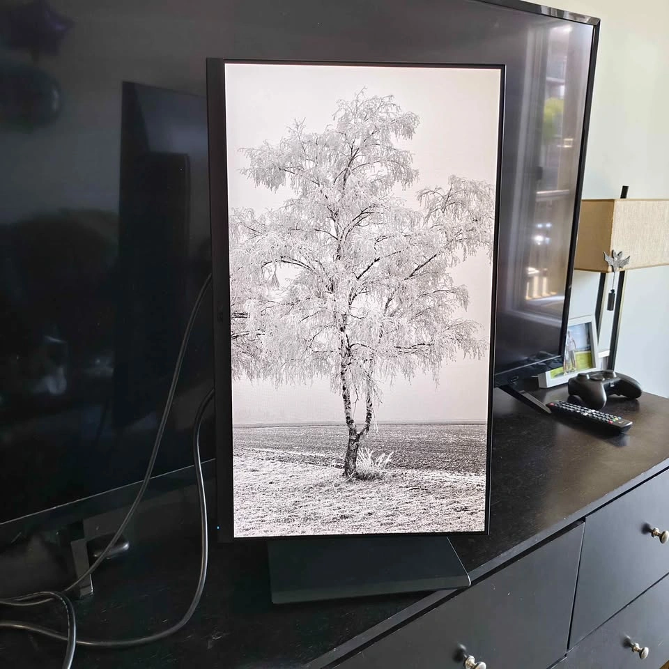 🖥️ Amazing 24" Acer 1080p IPS Monitor - photo 3