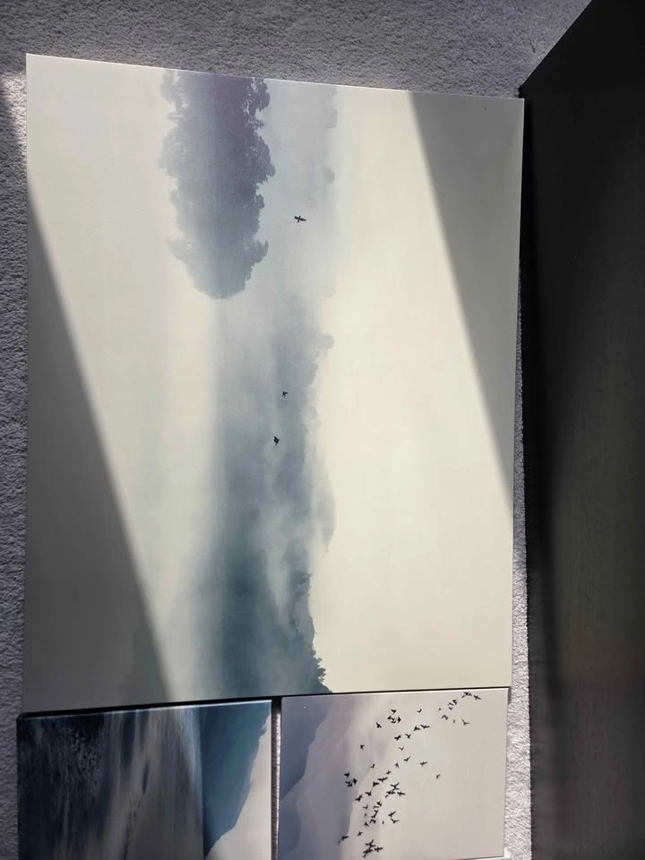 7 scenic canvas art pieces - photo 2
