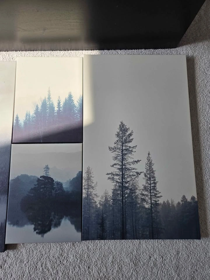7 scenic canvas art pieces - photo 4