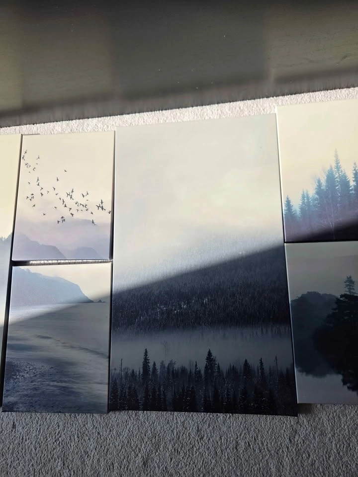 7 scenic canvas art pieces - photo 5