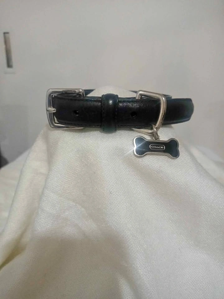 COACH leather dog collar