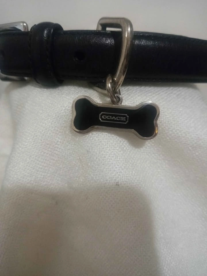 COACH leather dog collar - photo 2