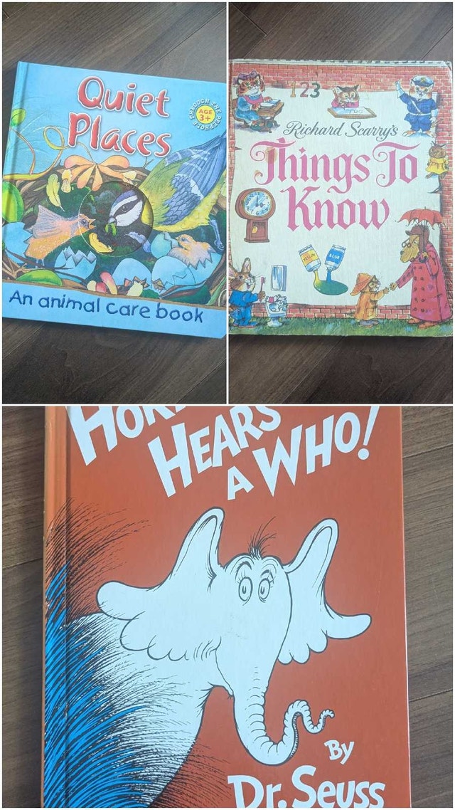 Large Children's Hardcover Book Collection - photo 5