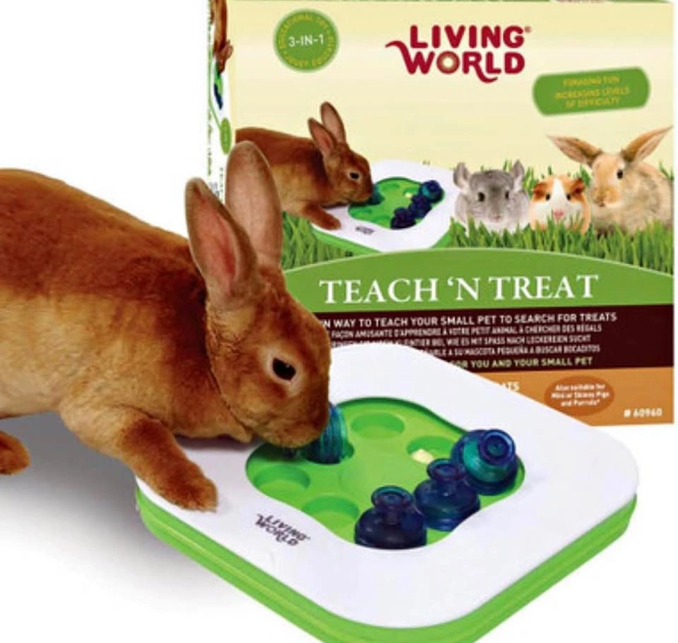 Teach ‘n treat