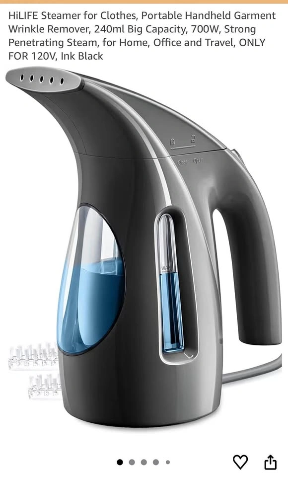 Travel plug in steamer