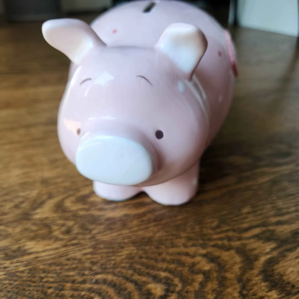 Cutest piggy bank - photo 2