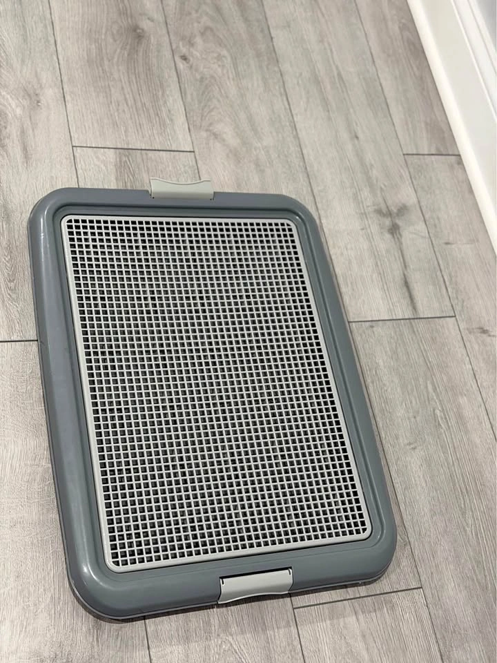 dog potty