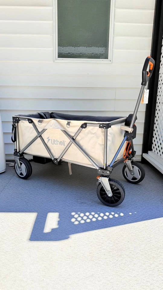 Electric Wagon