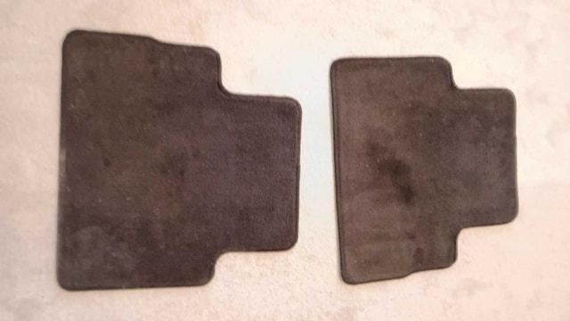Nissan Rogue Rear Floor Mats