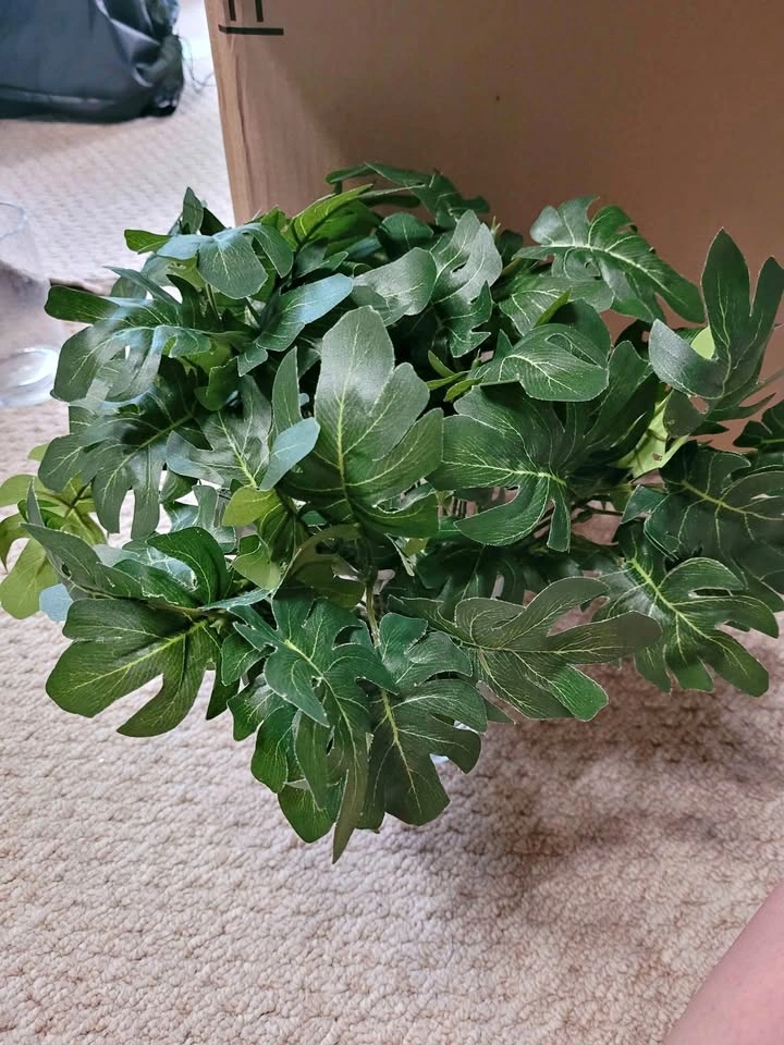 Faux Greenery ⚽