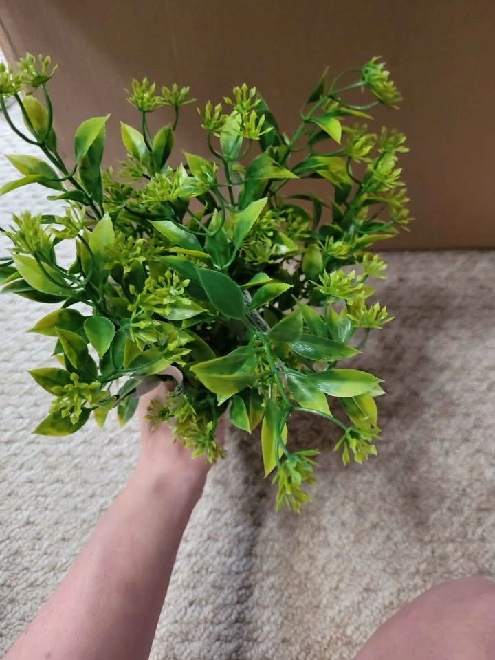 Faux Greenery ⚽ - photo 4