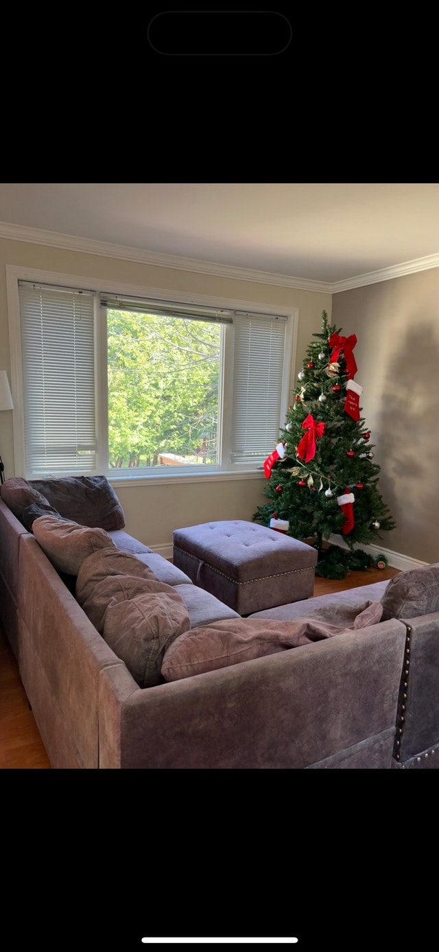 Large Grey Sectional Couch + Ottoman - photo 5