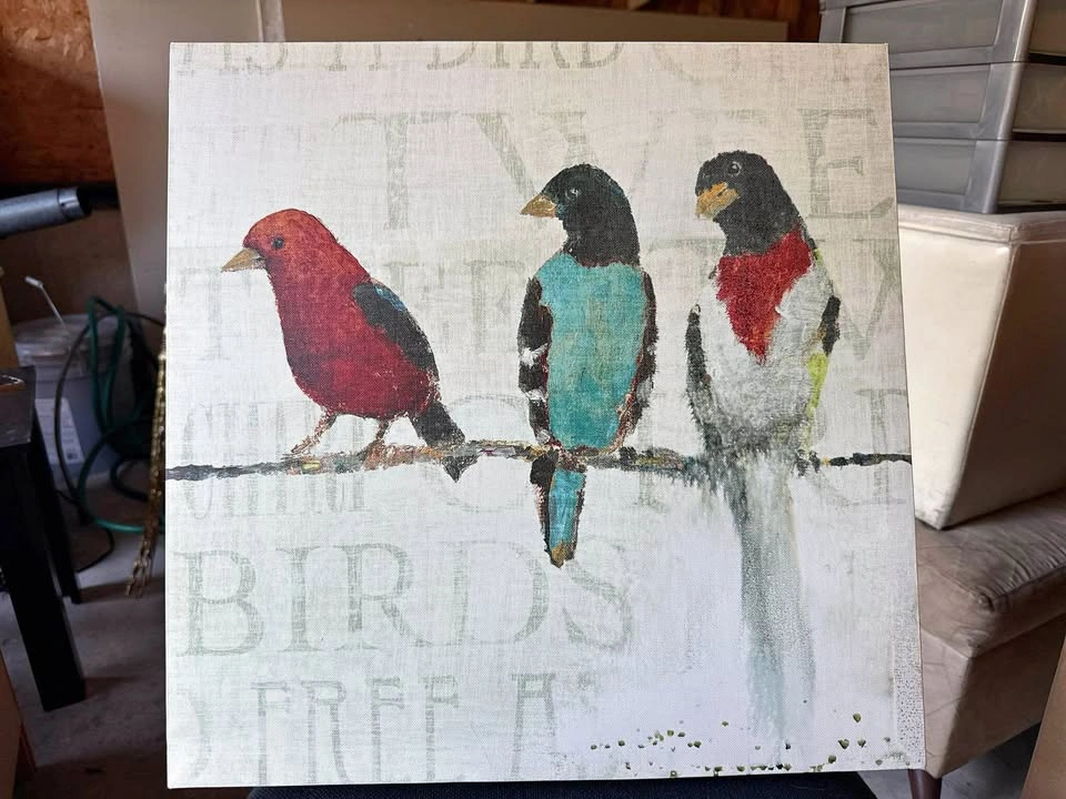 Charming Trio: Three Colorful Birds Square Canvas Painting/Print