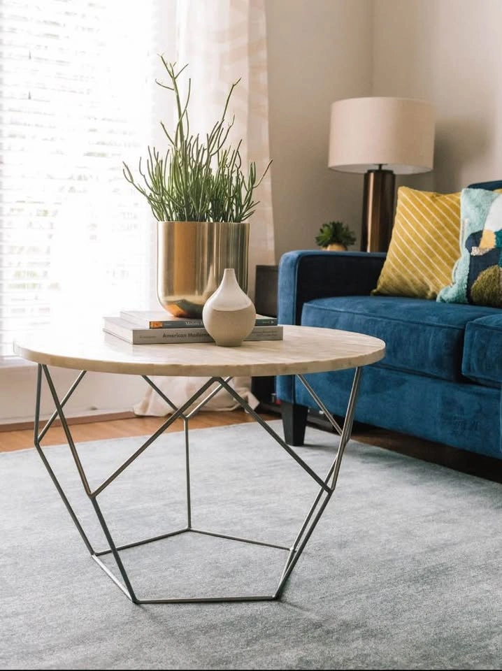 ✨ West Elm Geometric Bone Inlay Coffee Table