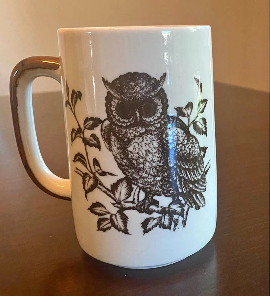 Vintage Otagiri Hand Painted Owl Coffee Mug