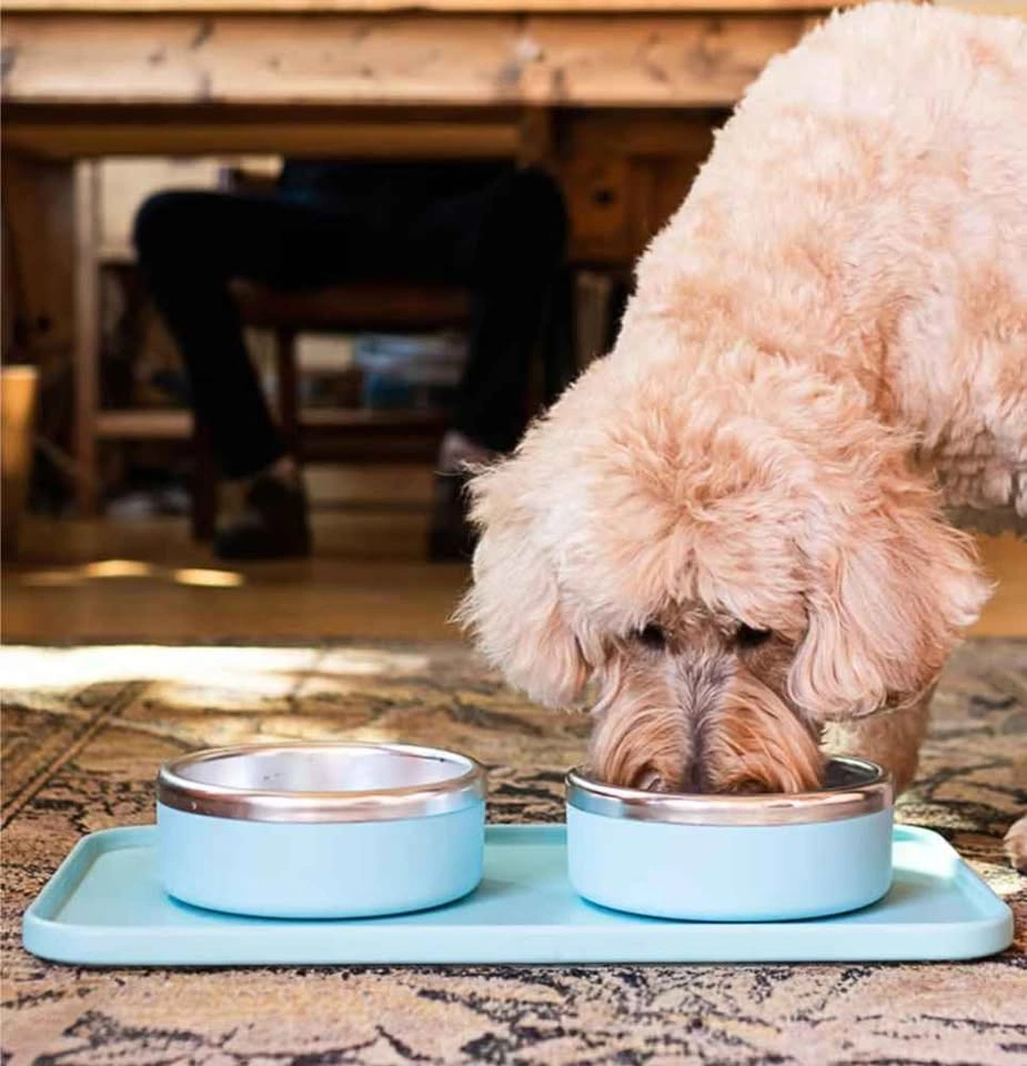 Premium Dog Bowl ● Trot Pets ● Set of 2 (Charcoal Grey) - photo 2