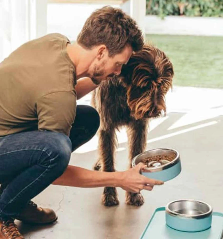 Premium Dog Bowl ● Trot Pets ● Set of 2 (Charcoal Grey) - photo 3