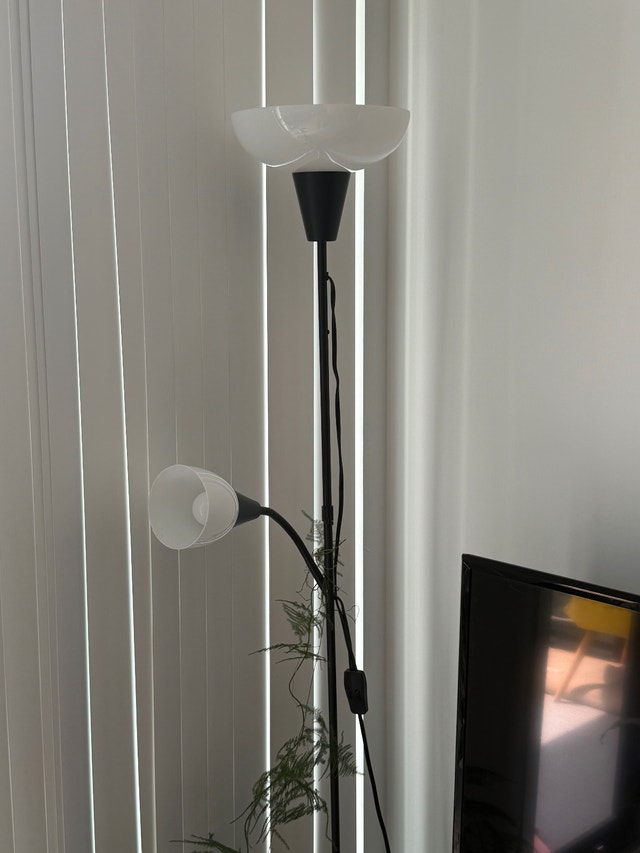 Black Floor Lamp with Reading Light