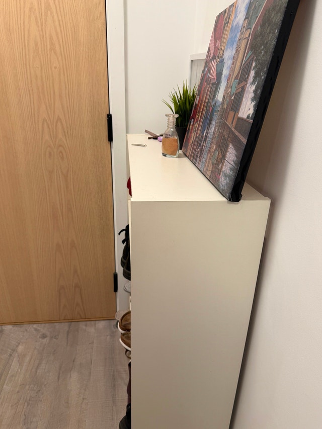 White Shoe Shelf