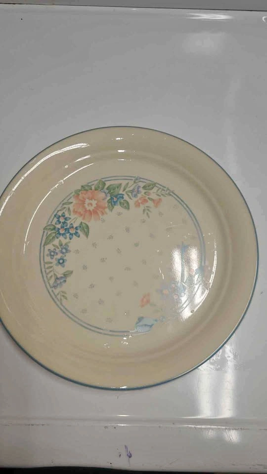 Vintage Corelle Dinner Plates