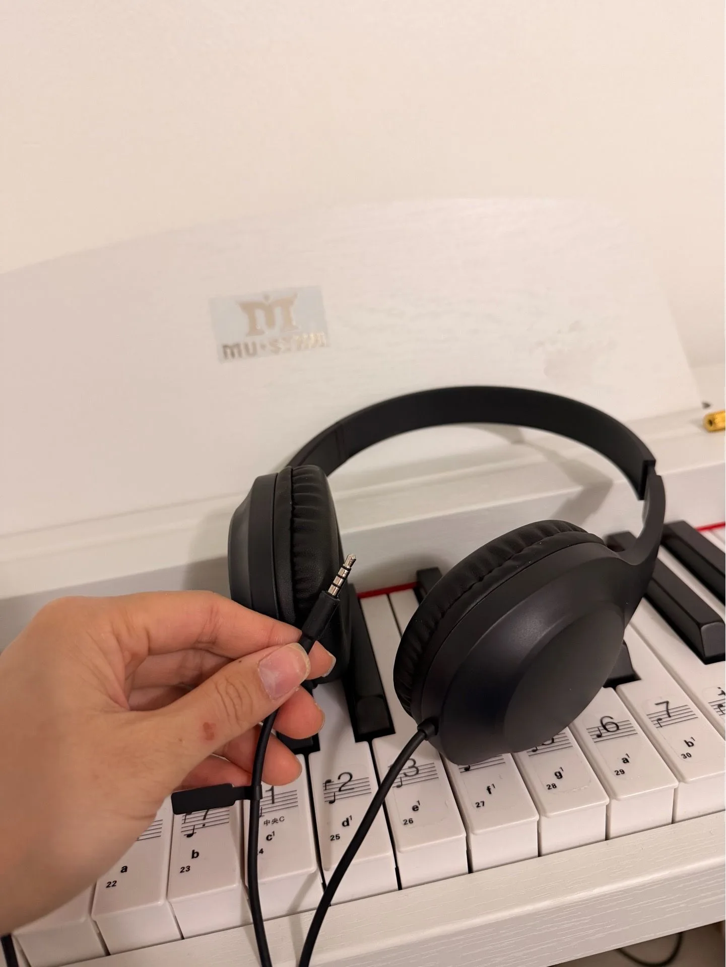 Heyday wired headphone