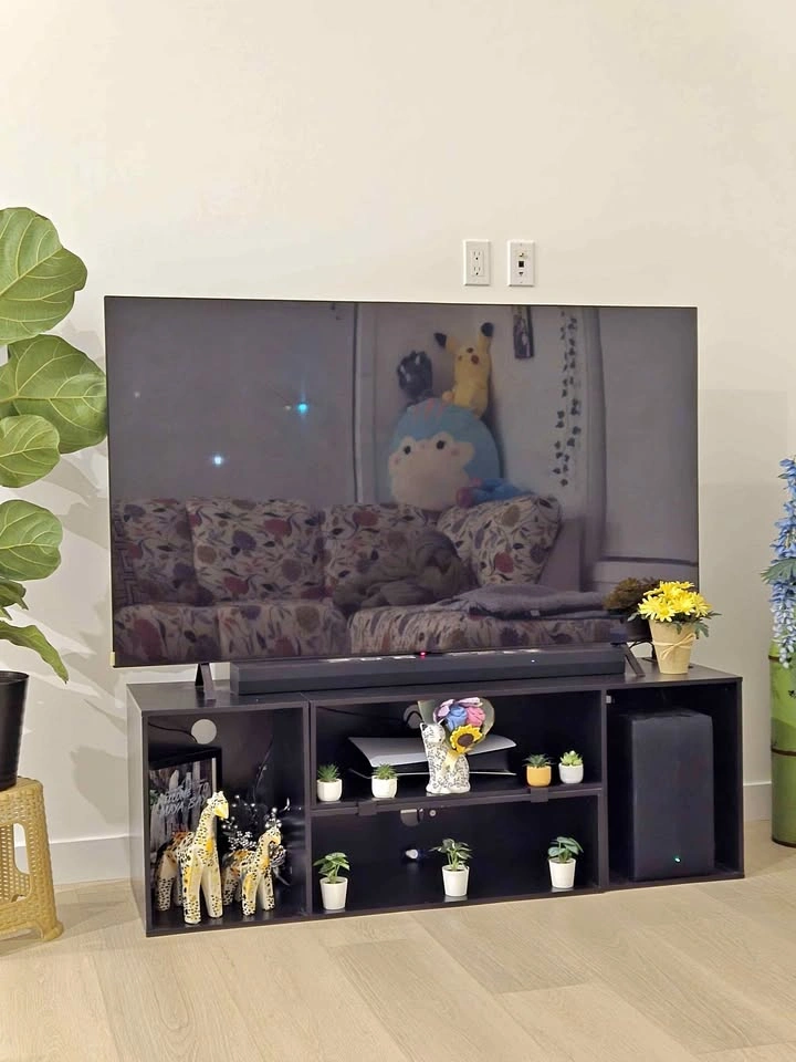 LG 65" B4 OLED 4K UHD HDR Smart TV (2024 Model)
