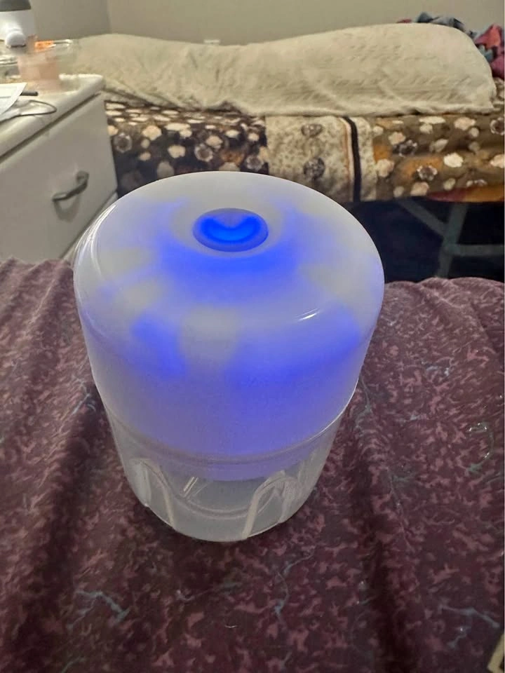 Electric food chopper small