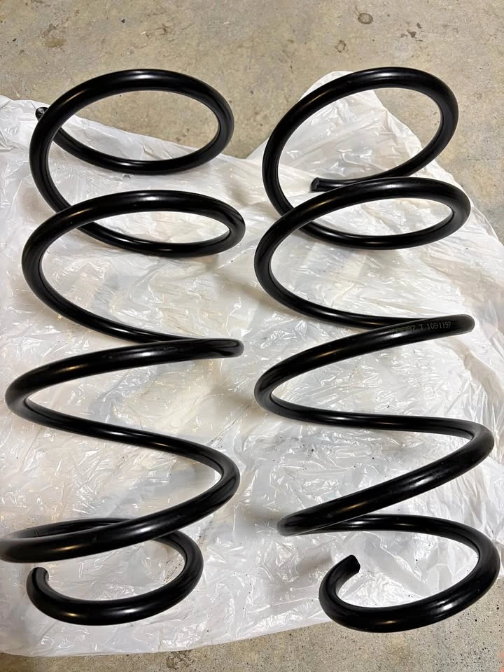 OEM BMW Front Springs