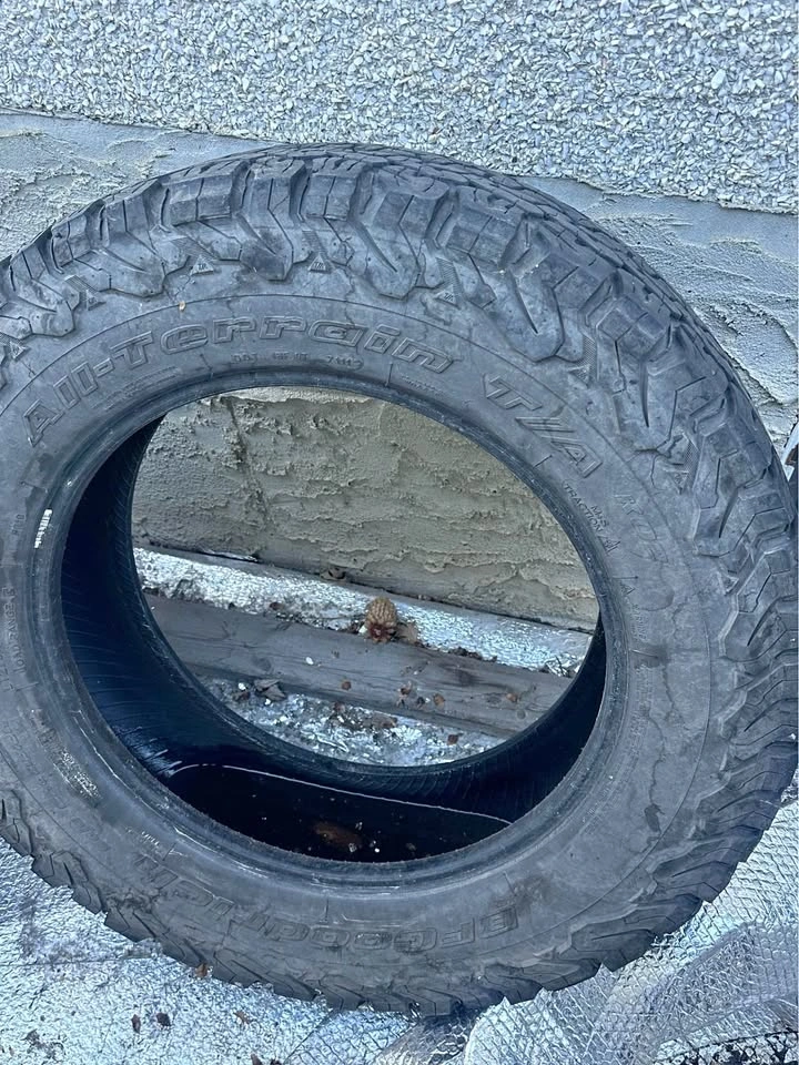 BF Goodrich LT275/65/R20 (Tire)