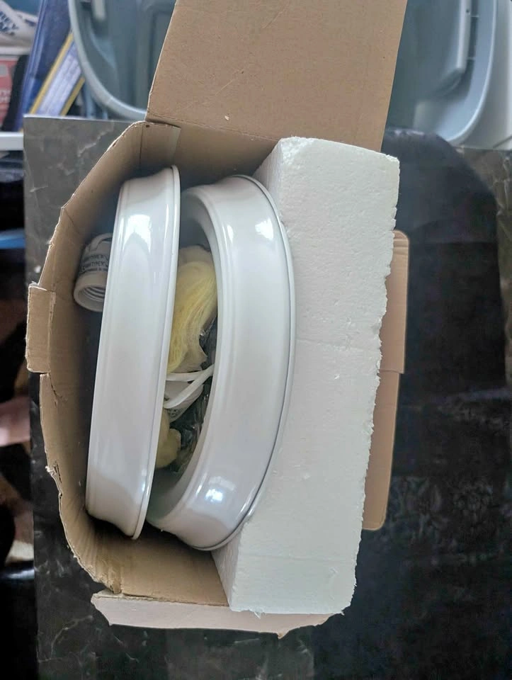 2 pack Hannah Flush Mount