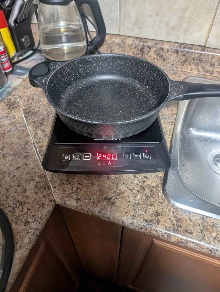 Salton Portable Induction Cooktop