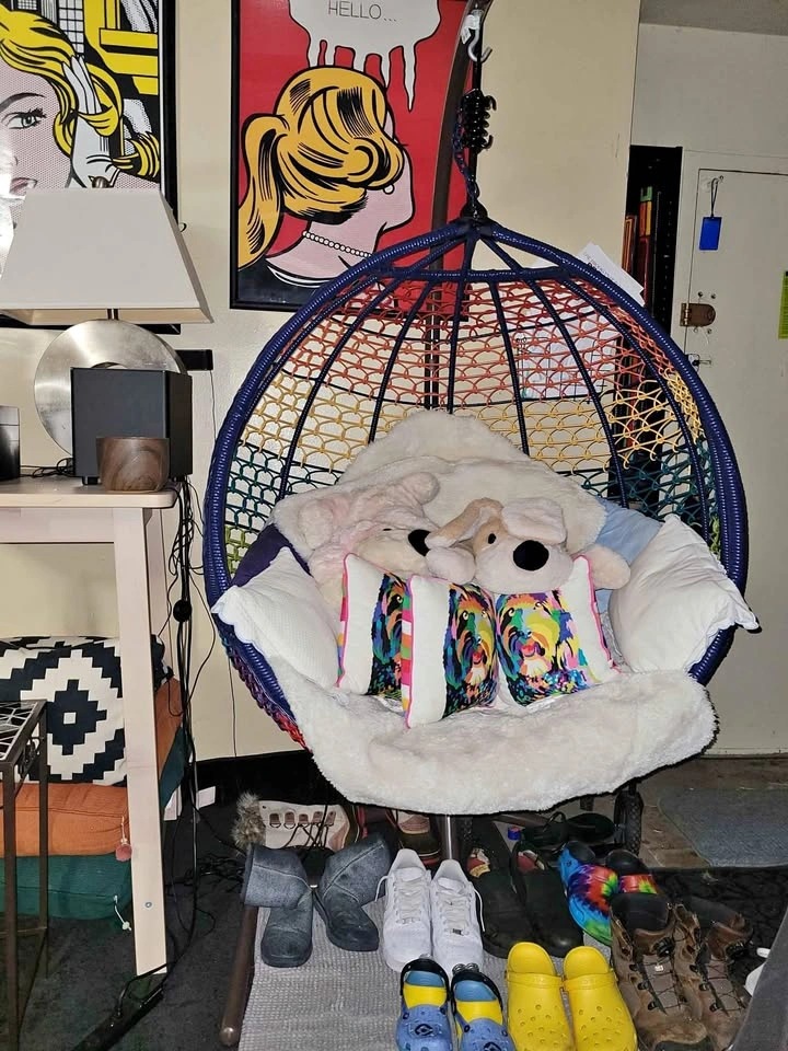 Pier 1 Multicolored Egg Swing Chair