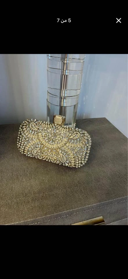Elegant Designer Evening Gown & Crystal Clutch Set - photo 4