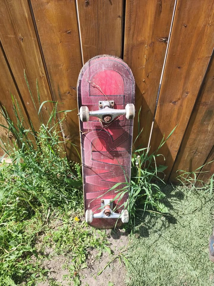 Quest Pintail Longboard and World Industries Skateboard - photo 4