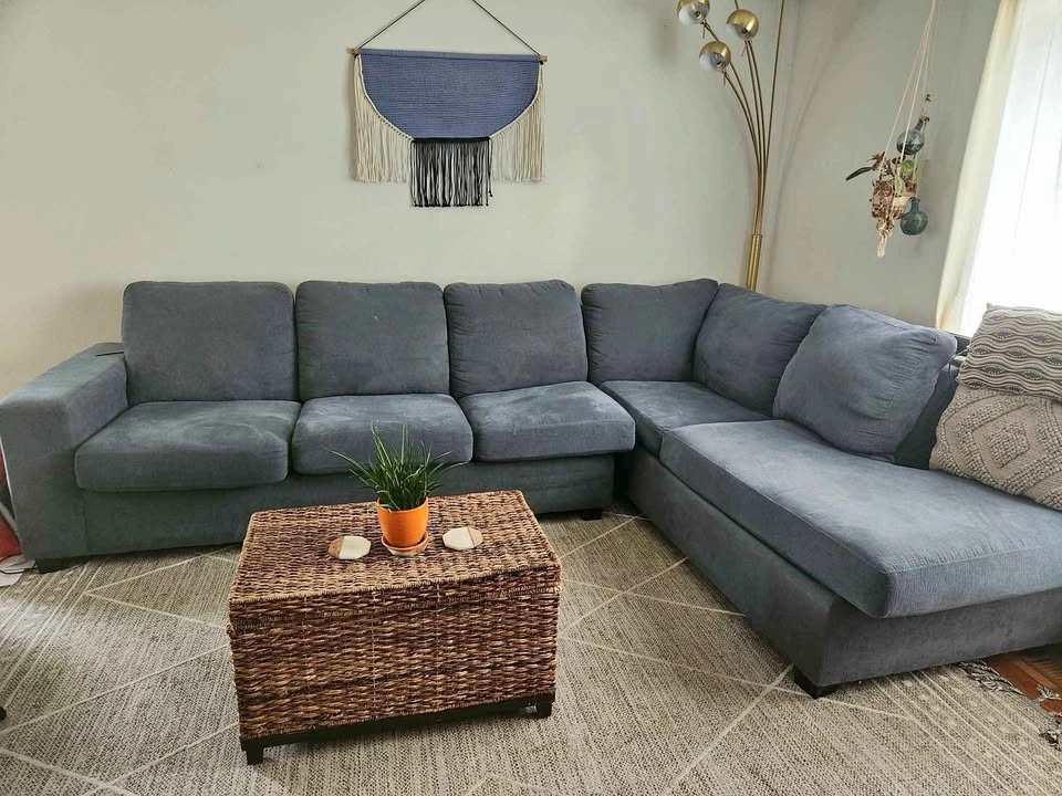 Complete Living Room Set – Sectional, TV, Rug & More – $750 OBO
