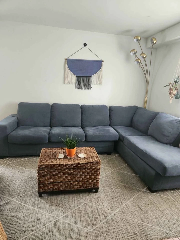 Complete Living Room Set – Sectional, TV, Rug & More – $750 OBO - photo 3