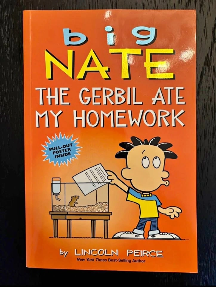 Big Nate Books - Paperback⚽️